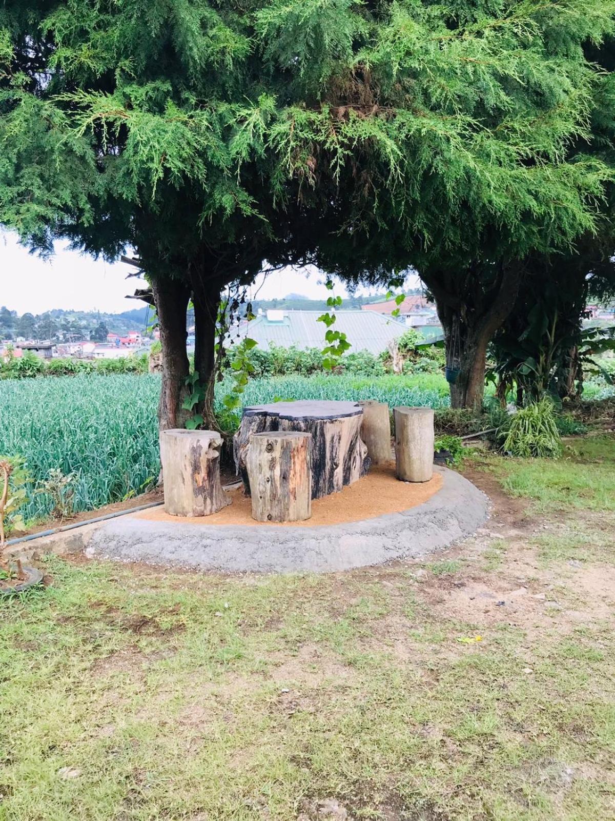 Silver Meir Bungalow Nuwara Eliya Luaran gambar